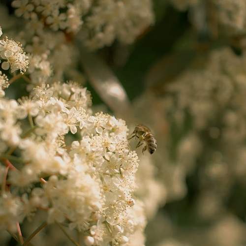 Photo #12076438