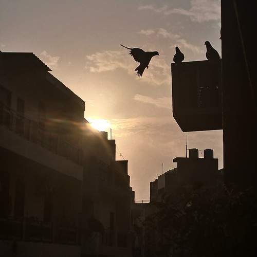 Photo #12076605