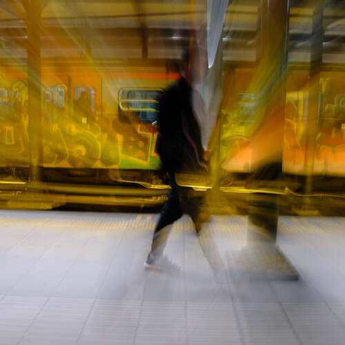 Фотография #12076921