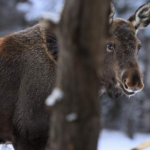 Photo #12076985