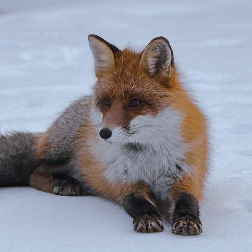 Photo #12077133