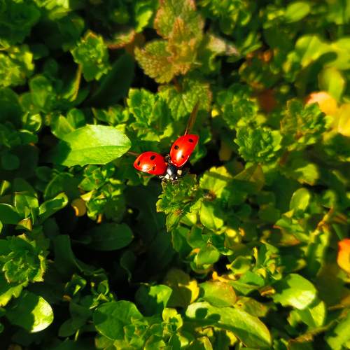 Photo #12077340