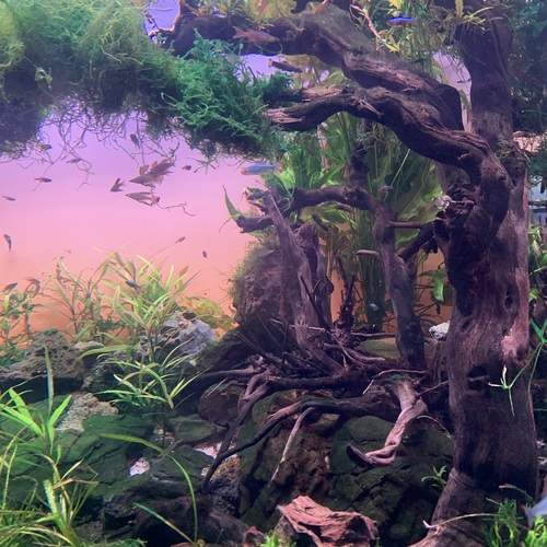 Photo #12077344