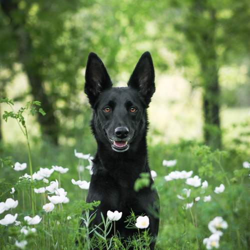 Photo #12077484