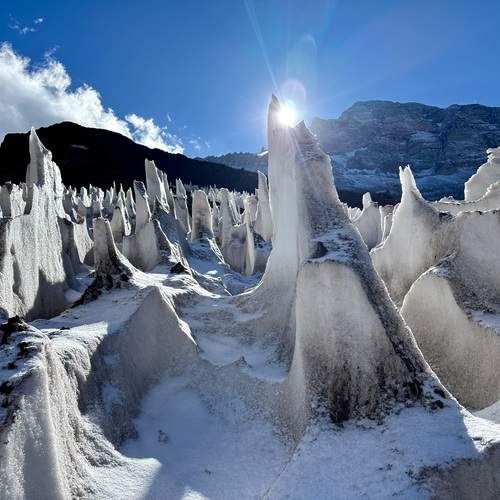 Photo #12077582