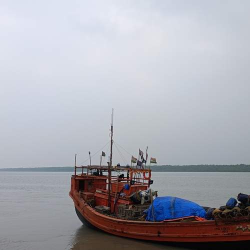 Photo #12077612