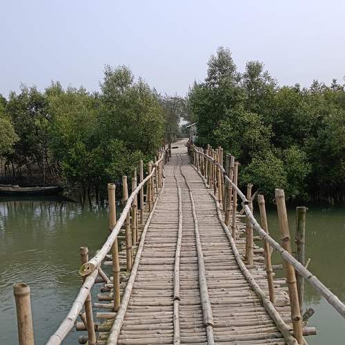 Photo #12077613