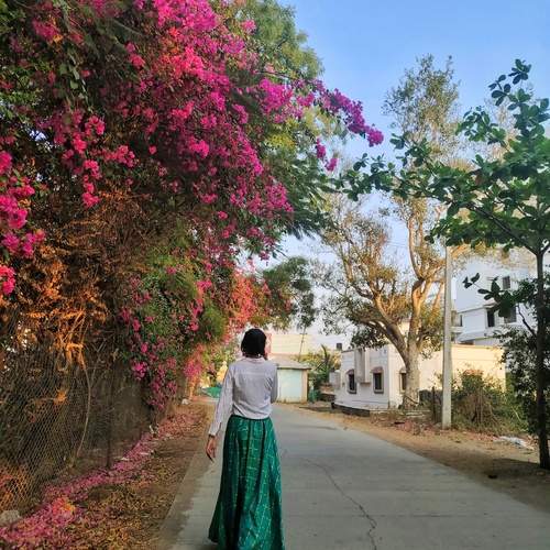 Photo #12077653