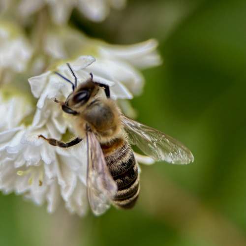 Photo #12077800