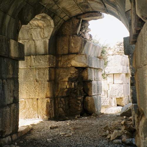 Photo #12077808