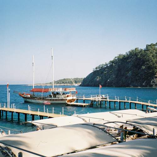 Photo #12077815