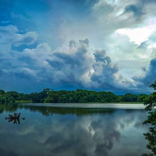 Photo #12077830