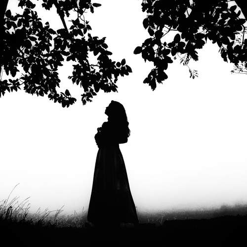 Photo #12078058