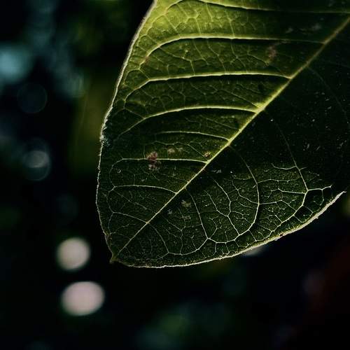 Photo #12078352