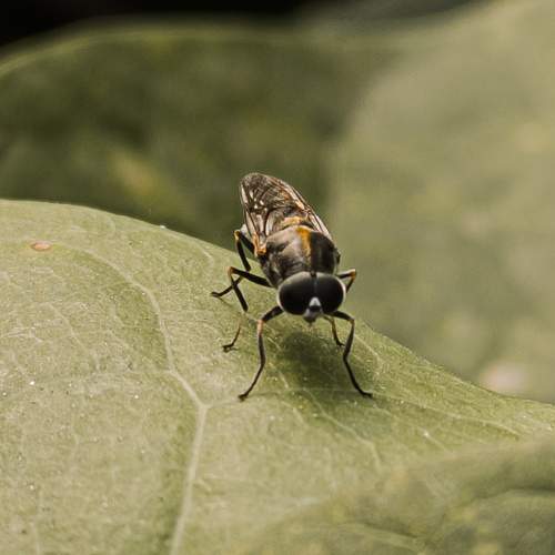 Photo #12078358