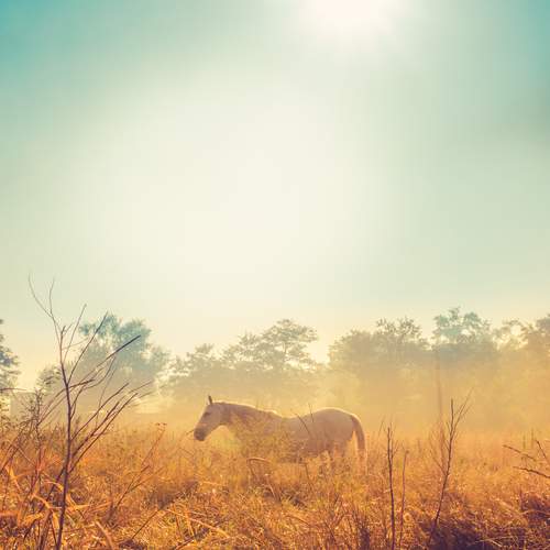Photo #12078397