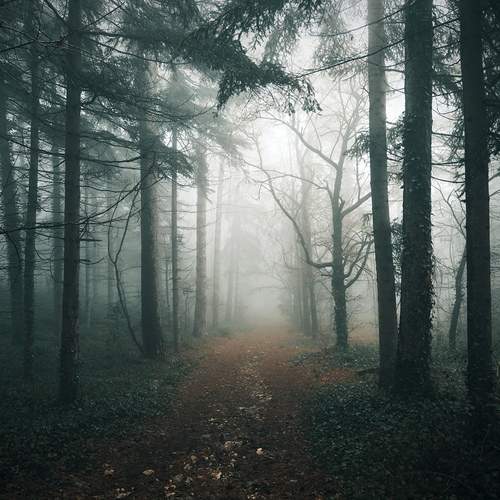Photo #12078453