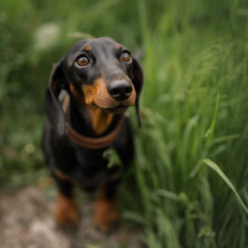 Photo #12078479