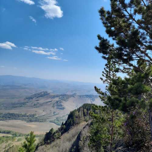 Photo #12078521