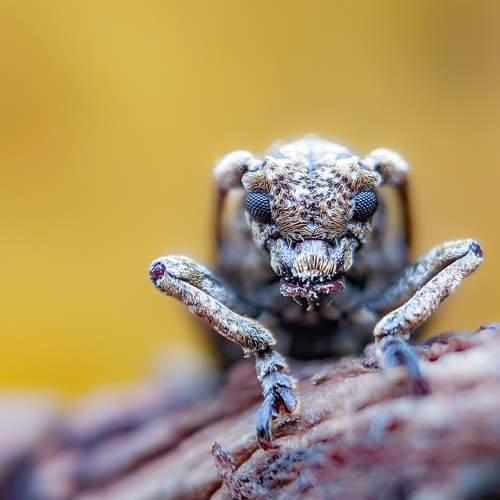 Photo #12078735