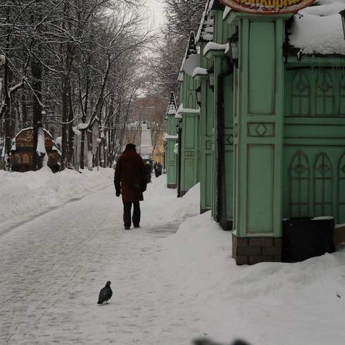 Photo #12078952