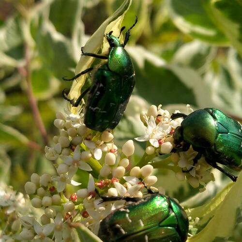 Photo #12079009