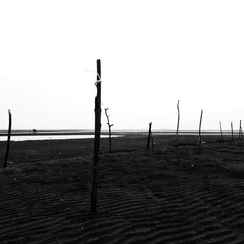 Photo #12079011