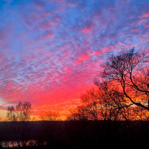 Photo #12079323