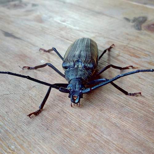Photo #12079354