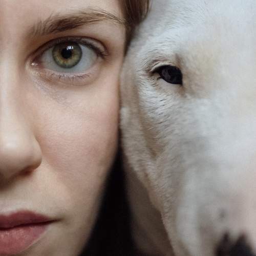 Photo #12079567