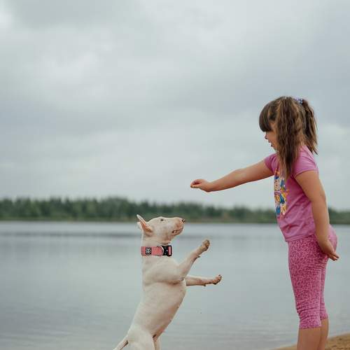 Photo #12079601