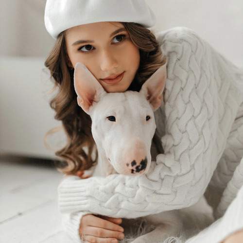 Photo #12079603