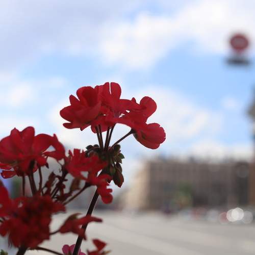 Photo #12080276