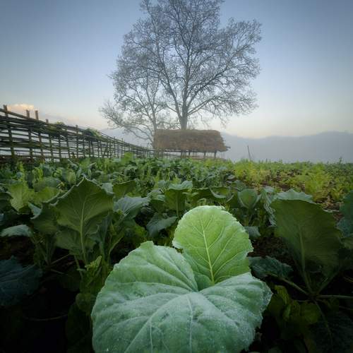 Photo #12080441