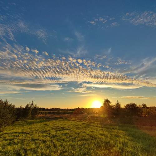 Photo #12080538