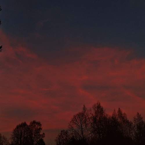 Photo #12080758