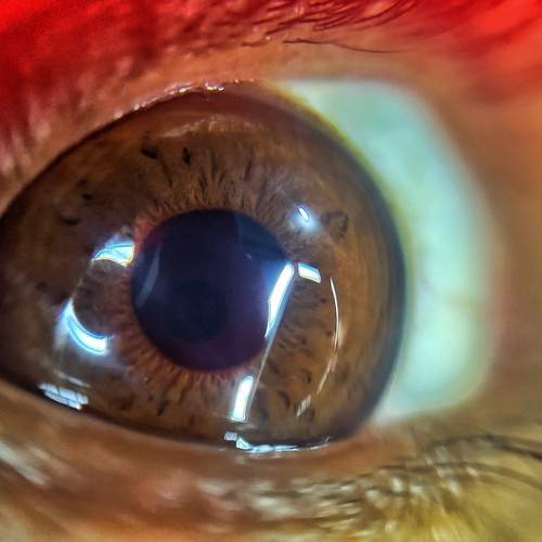Photo #12080812