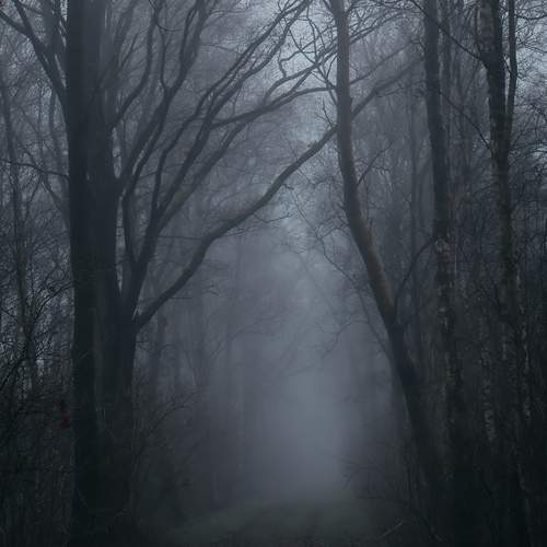 Photo #12080845