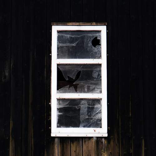 Photo #12080846