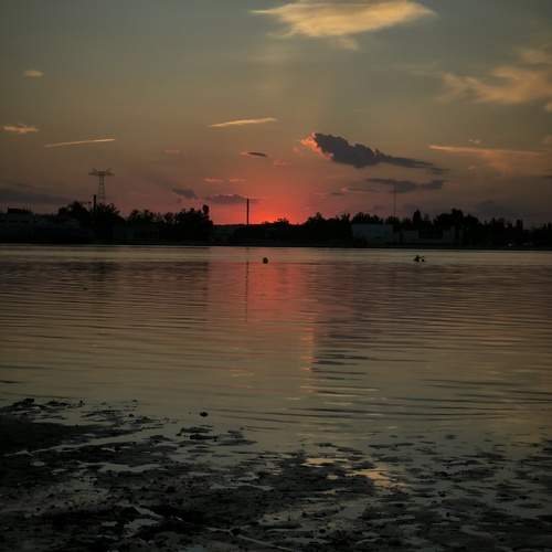 Photo #12080863