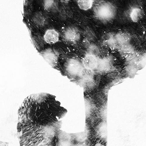 Photo #12080924