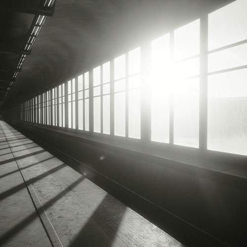 Photo #12080967
