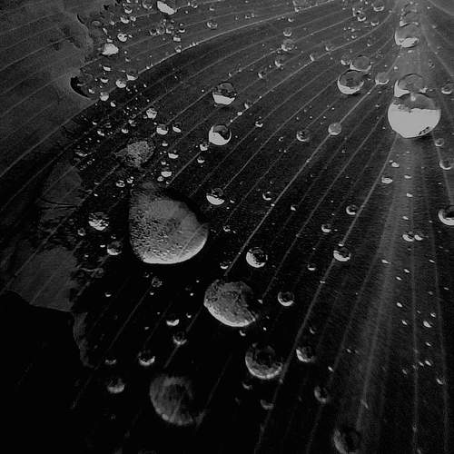 Photo #12081053