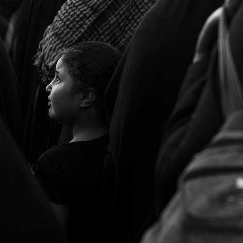 Photo #12081384