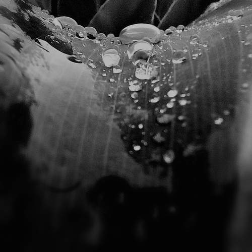 Photo #12081596