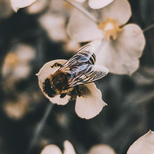 Photo #12081778