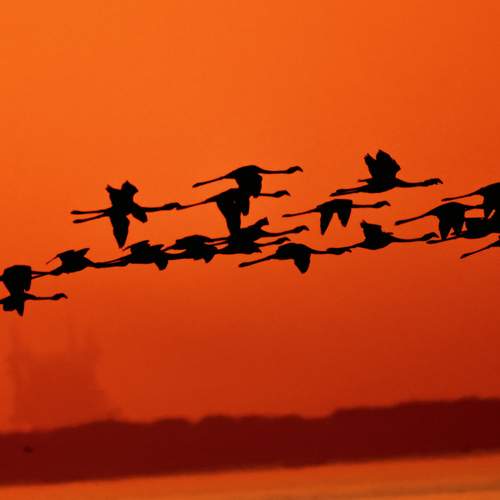 Photo #12081809