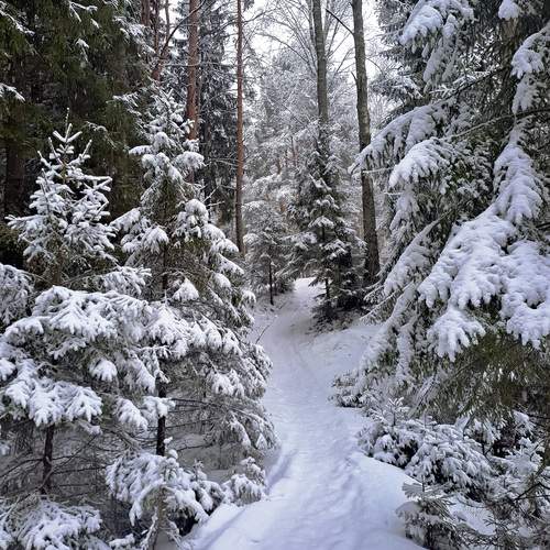 Photo #12081999