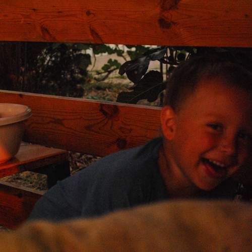 Photo #12082135