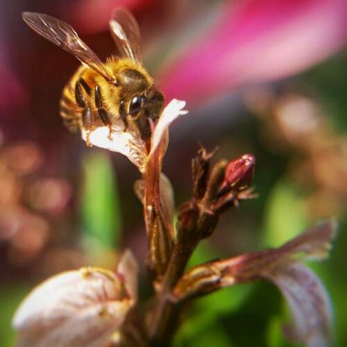 Photo #12082261